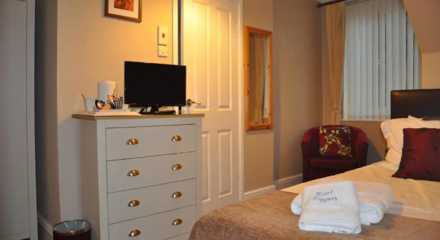 Standaard Eenpersoonskamer Hotel Peppers