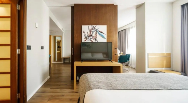 Двухместный номер Superior Ilunion Valencia 4