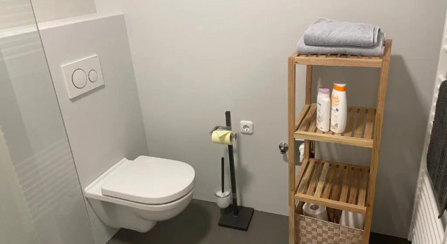 Апартаменты Skyloft Apartment Feldkirch