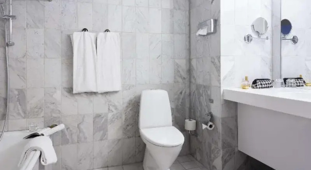 Полулюкс Standard Scandic Regina