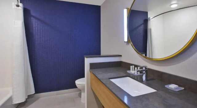 Четырёхместный люкс Fairfield Inn & Suites by Marriott Flint Grand Blanc