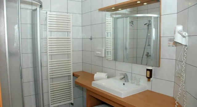Двухместный номер Standard Hotel Birkenhof