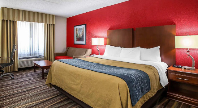Номер Standard Comfort Inn Alpharetta-Atlanta North