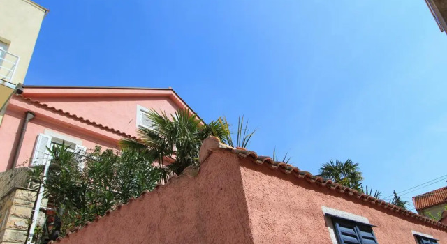 Apartments Villa 7