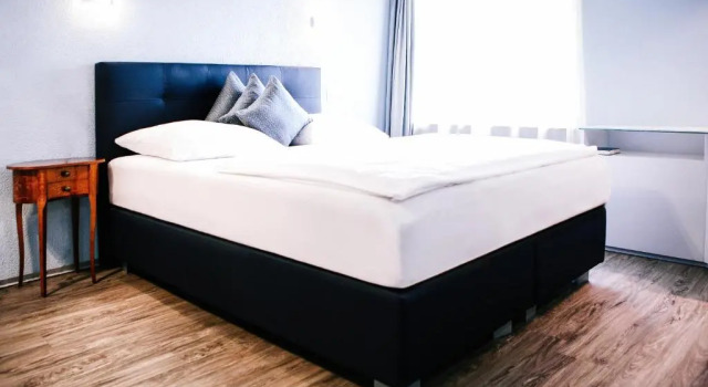 Двухместный номер Standard с видом на озеро Hotel Murtenhof & Krone