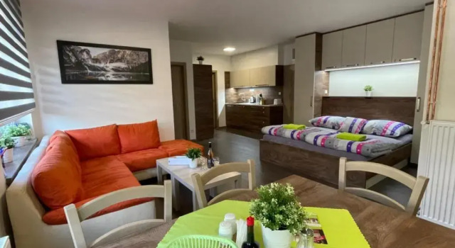 Апартаменты Цокольный этаж Apartmány Havlíčkova