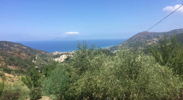 Номер Standard Agriturismo Fattoria di Grenne