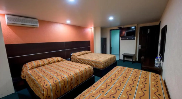 Трёхместный номер Standard Oaxaca Inn Reforma