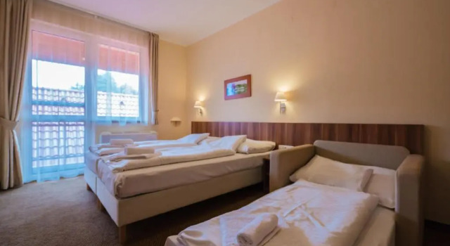 Трёхместный номер Standard с балконом Balaton Colors Beach Hotel