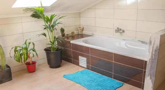 Suite Green House