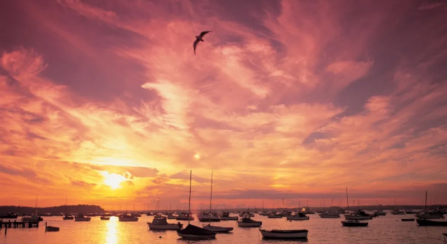 Коттедж Seas the Day - Moments from Hamworthy Beach and Park