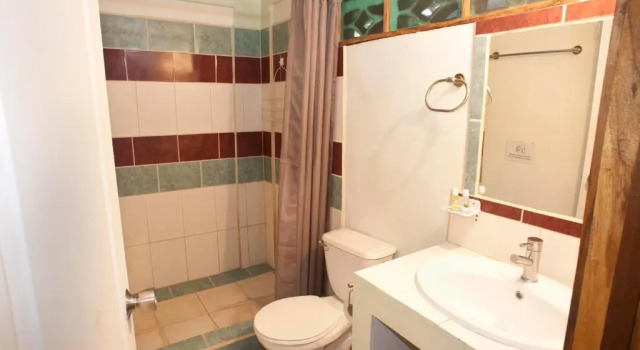 Номер Standard Hotel Blue Conga