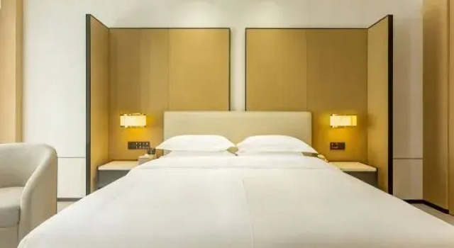 Люкс Business Jinxi Preferred Hotel (Linhe Government Store)