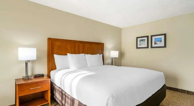 Двухместный люкс c 1 комнатой Comfort Inn & Suites St Pete - Clearwater International Airport