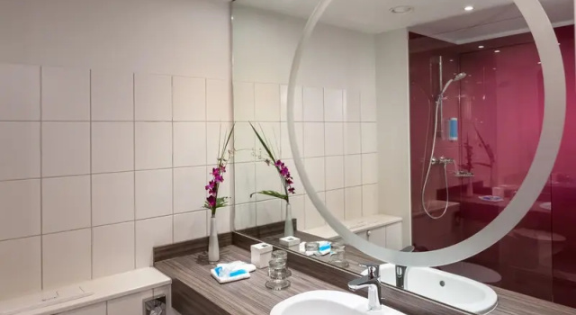 Одноместный номер Standard Dorint Kongresshotel Mannheim