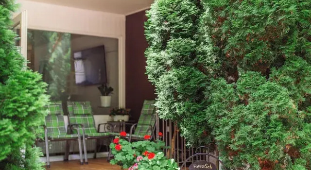 Aparthotel Tannenhof, Book Apartment Badenweiler Markgräflerland
