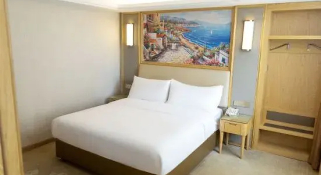 Люкс Business Vienna Hotel（ning yuan jiu yi dian ）