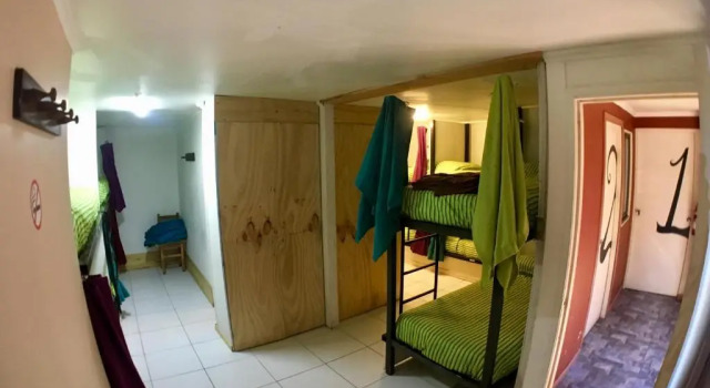 Кровать в общем номере Gecko Hostel