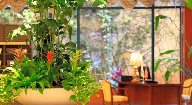 Номер Executive Quintessa Hotel Sasebo