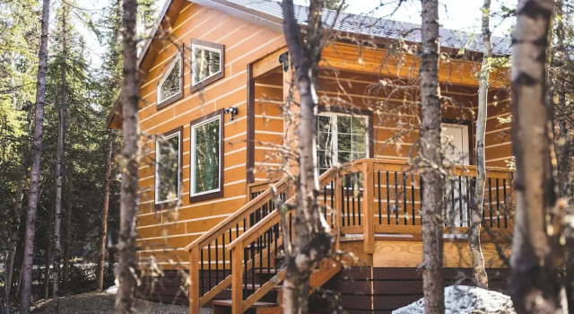 Denali Wild Stay