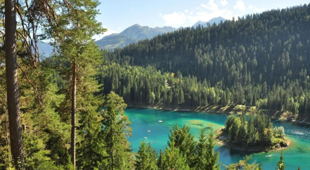 Crap da Flem - 3.5 Zimmer Ferienwohnung am Sonnenhang von Flims, Buchen Sie Hotel Flims 