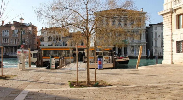 Sarai Apartments, Забронировать Апартаменты/квартира Апартаменты Венеции, рядом с Accademia Bridge, Апартаменты/квартира