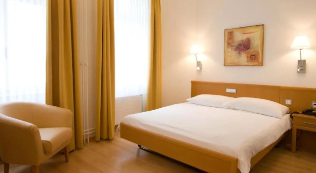 Одноместный номер Standard Central City Hotel Rochat