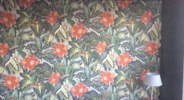 Одноместный номер Comfort с видом на сад B&B The Protea