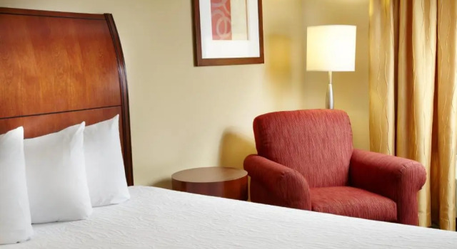 Номер Standard с видом на город Hilton Garden Inn Dallas Arlington