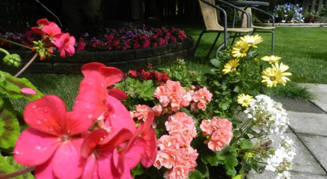 Serenity Bed and Breakfast, Réserver Hôtel Burnaby Lower Mainland