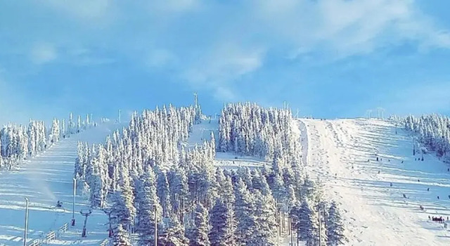 Номер Standard Hotel Mezzo