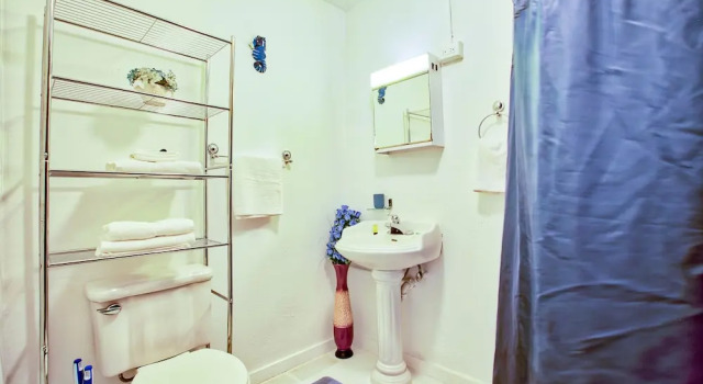 Номер Economy Coconut Palms Rincon
