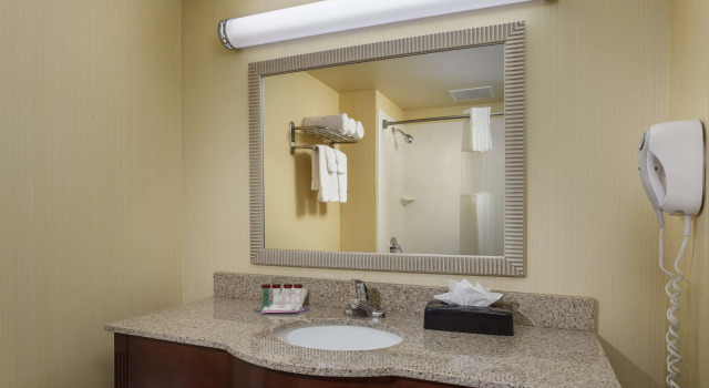 Четырёхместный люкс Roosevelt Grand Dakota SureStay Collection by Best Western