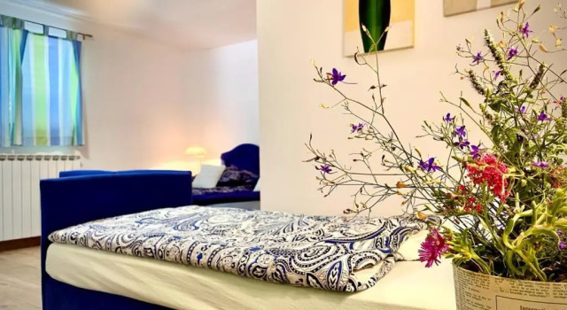 Апартаменты Apartments Villa-Passat