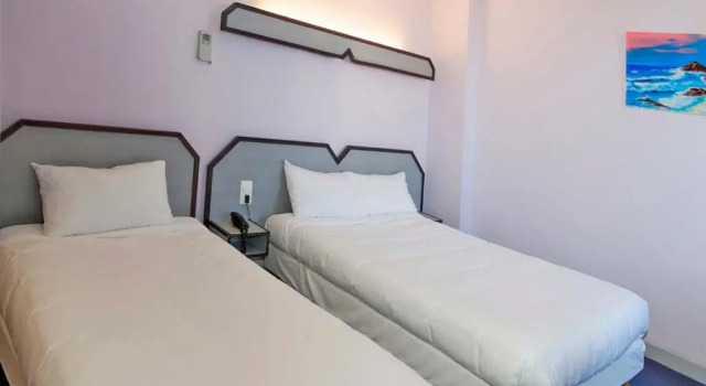 Hostellerie Du Vigan
