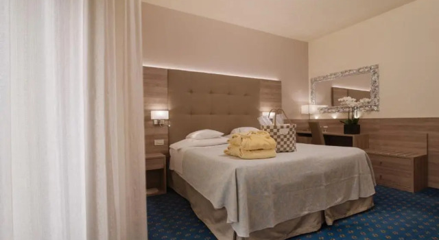 Одноместный номер Comfort Hotel Garden Terme