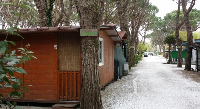 Бунгало с 2 комнатами Camping Dal Pino