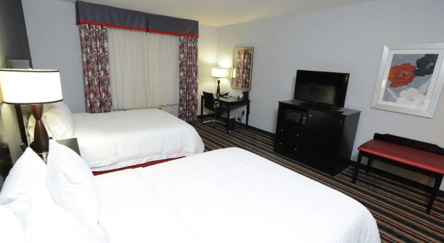 Четырёхместный номер Standard Hampton Inn & Suites Albany at Albany Mall