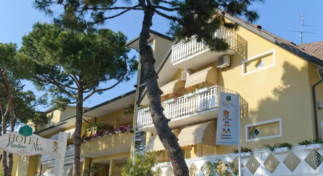 Pinetina Mare Baby Family Hotel