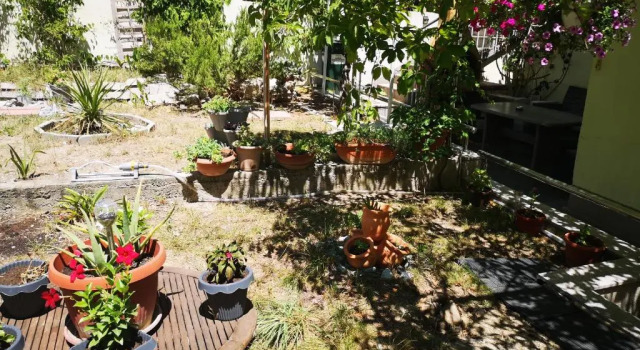 Студия Apartments Ella