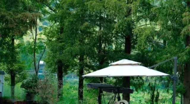 Moganshan YANGSEN · Oxygen Forest Summer Slide Pool Vacation Homestay, Prenota Hotel Hotel a Huzhou con piscina, Piscina