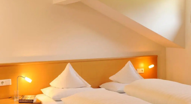 Двухместный номер Standard Hotel Sport Robert