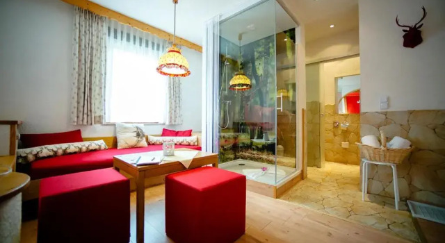 Двухместный номер Standard Holzschuhs Schwarzwaldhotel und Restaurant