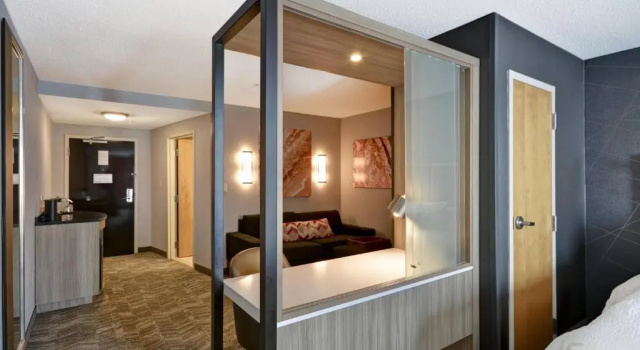 Люкс с 2 комнатами SpringHill Suites by Marriott Indianapolis Airport/Plainfield