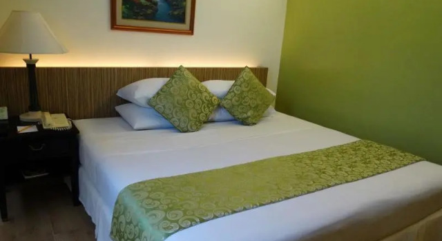 Двухместный номер Standard Hotel Fleuris