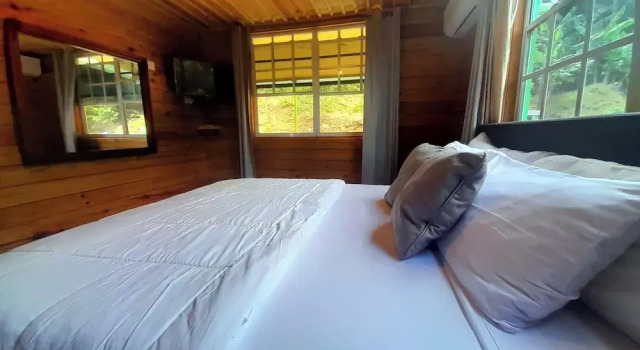 Hütte Pinard's Mountain Resort- Cottage 8