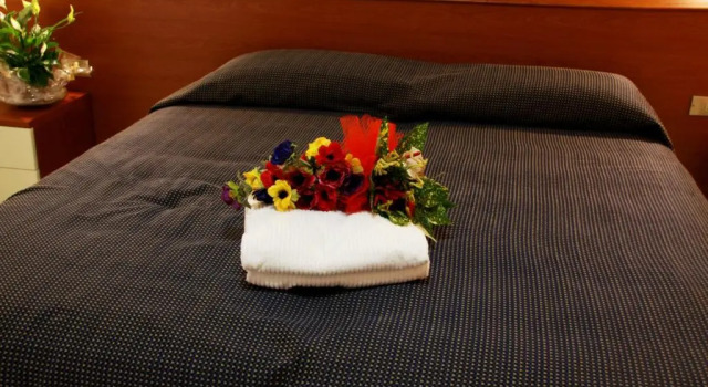 Двухместный номер Standard Hotel Excelsior