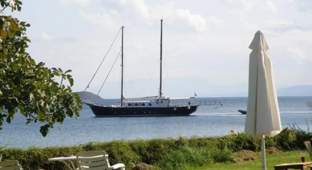 Номер Standard Angeliki Beach Hotel