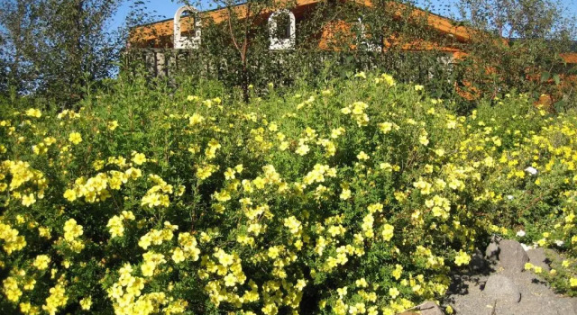 Коттедж c 1 комнатой Minniborgir Cottages & Restaurant