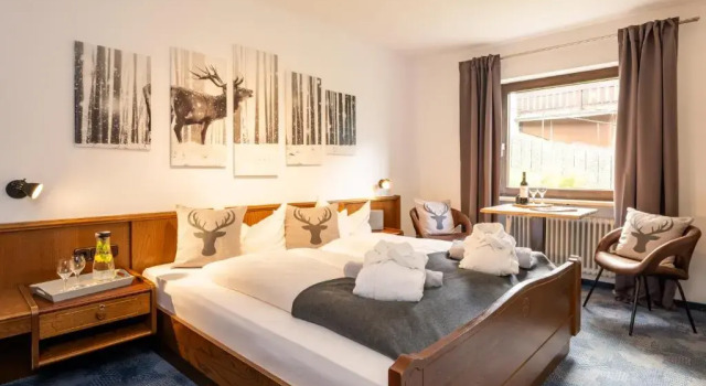 Двухместный номер Standard Hotel Tannhof